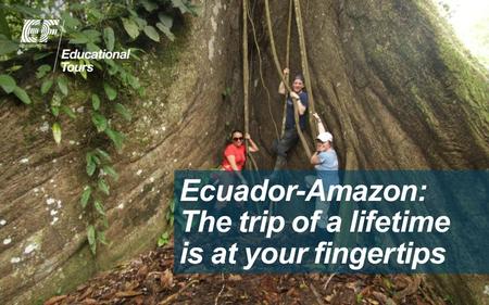 Ecuador-Amazon: The trip of a lifetime is at your fingertips.
