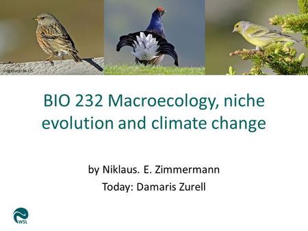 Vogelwarte.ch BIO 232 Macroecology, niche evolution and climate change by Niklaus. E. Zimmermann Today: Damaris Zurell.