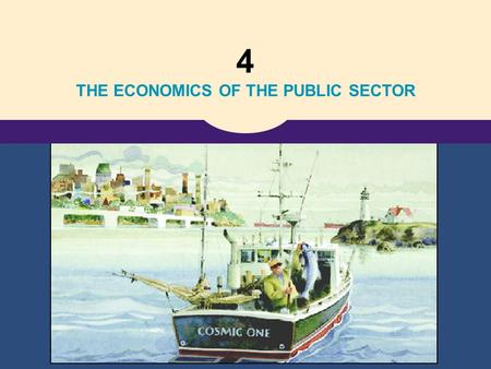 THE ECONOMICS OF THE PUBLIC SECTOR