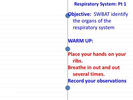 Objective: SWBAT identify the organs of the respiratory system WARM UP: Place your hands on your ribs. Breathe in out and out several times. Record your.