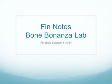 Fin Notes Bone Bonanza Lab
