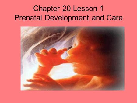 Chapter 20 Lesson 1 Prenatal Development and Care