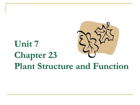 Unit 7 Chapter 23 Plant Structure and Function