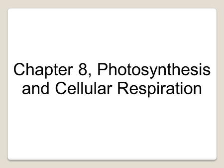 Chapter 8, Photosynthesis and Cellular Respiration