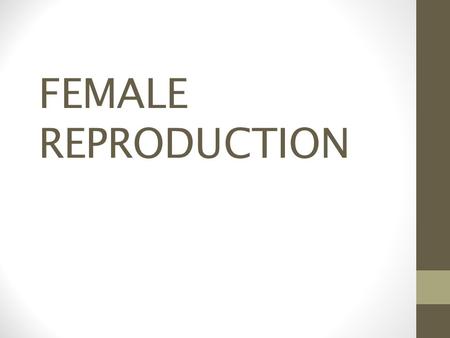FEMALE REPRODUCTION.