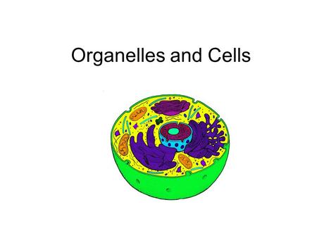 Organelles and Cells.