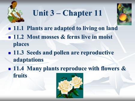 Unit 3 – Chapter Plants are adapted to living on land