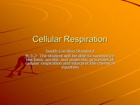 Cellular Respiration South Carolina Standard B-3.2- The student will be able to summarize the basic aerobic and anaerobic processes of cellular respiration.