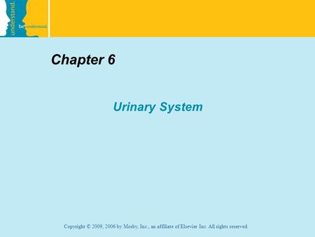 Chapter 6 Urinary System