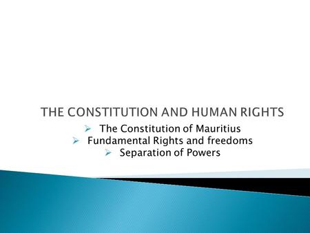 THE CONSTITUTION AND HUMAN RIGHTS