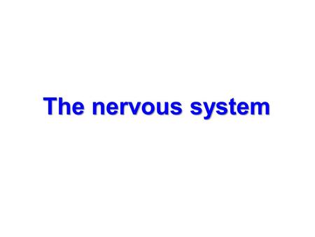 The nervous system.