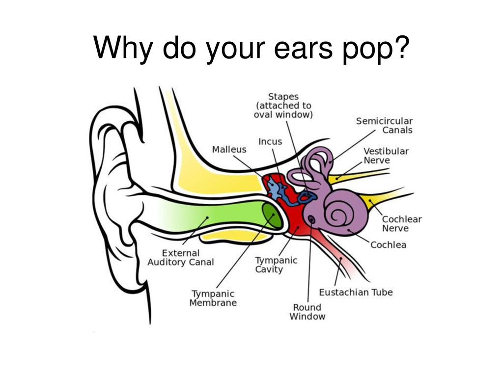 Why do your ears pop? Your ears pop in air planes because the air high  above the surface of Earth is less dense than air near the surface, because  air. - ppt