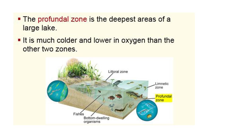 A biological community is a group of interacting populations that ...