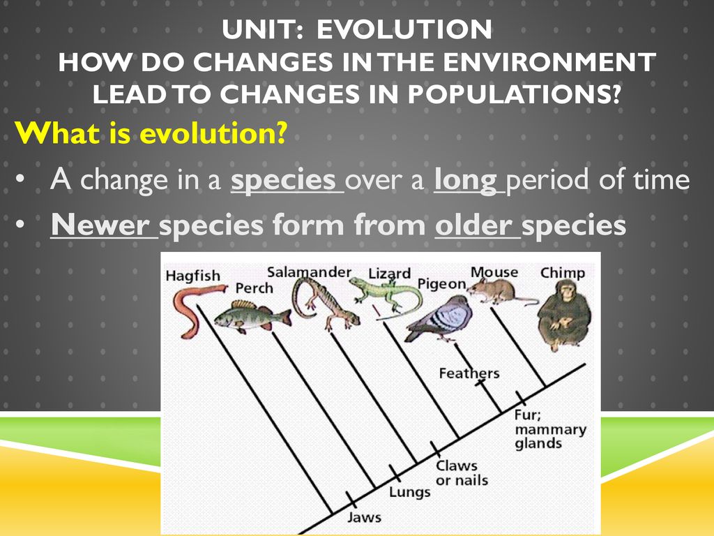 Evolution: Changing Species Over Time