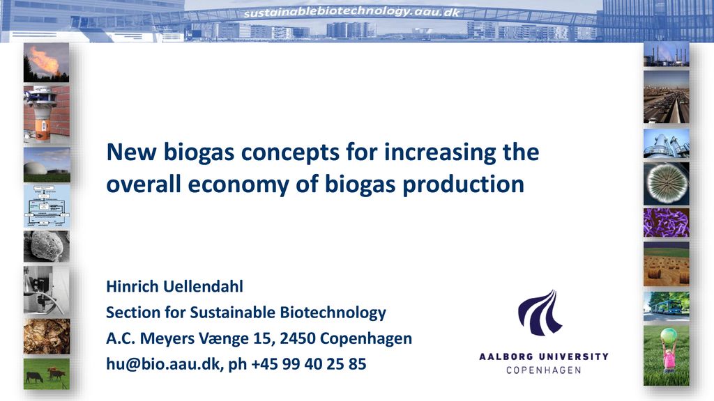 Hinrich Uellendahl Section for Sustainable Biotechnology - ppt download