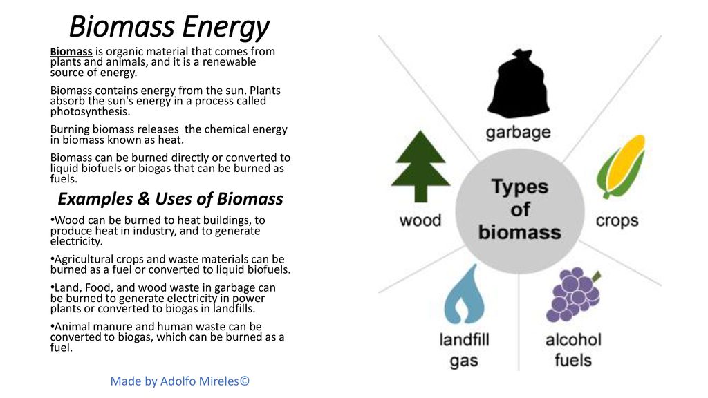 biomass energy examples