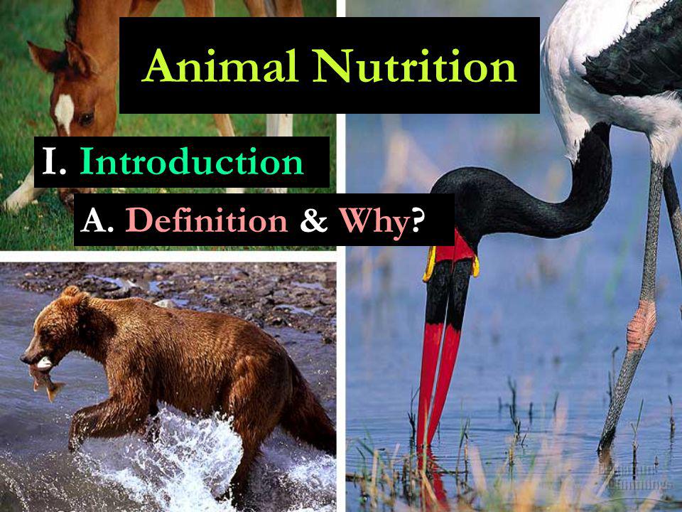 I. Introduction Animal Nutrition A. Definition & Why? - ppt download
