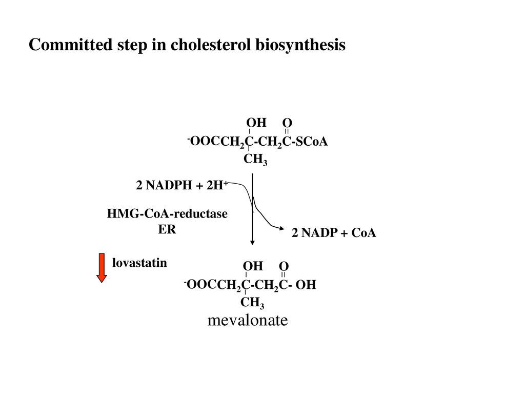 Committed step in cholesterol biosynthesis - ppt download