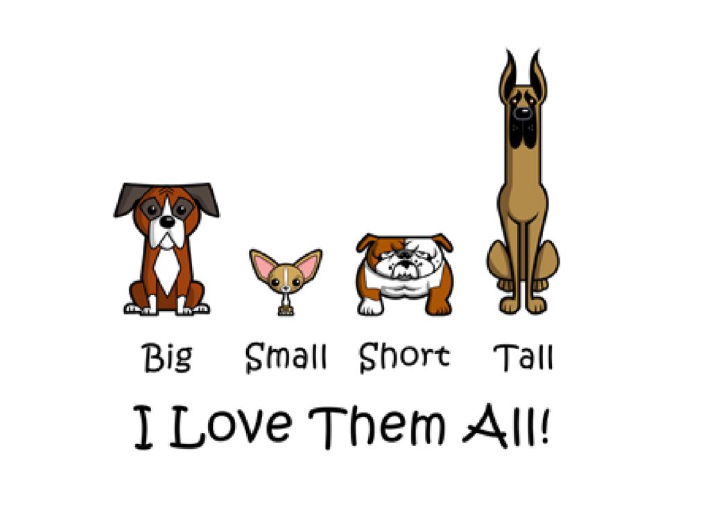 Big small animals