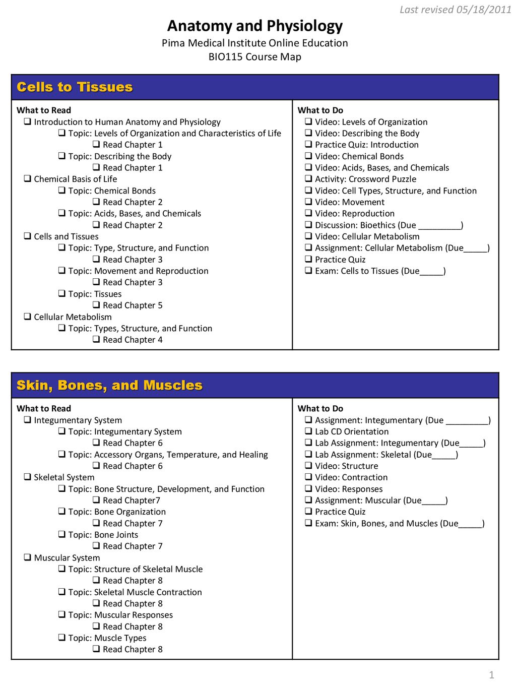 Anatomy And Physiology Ppt Download
