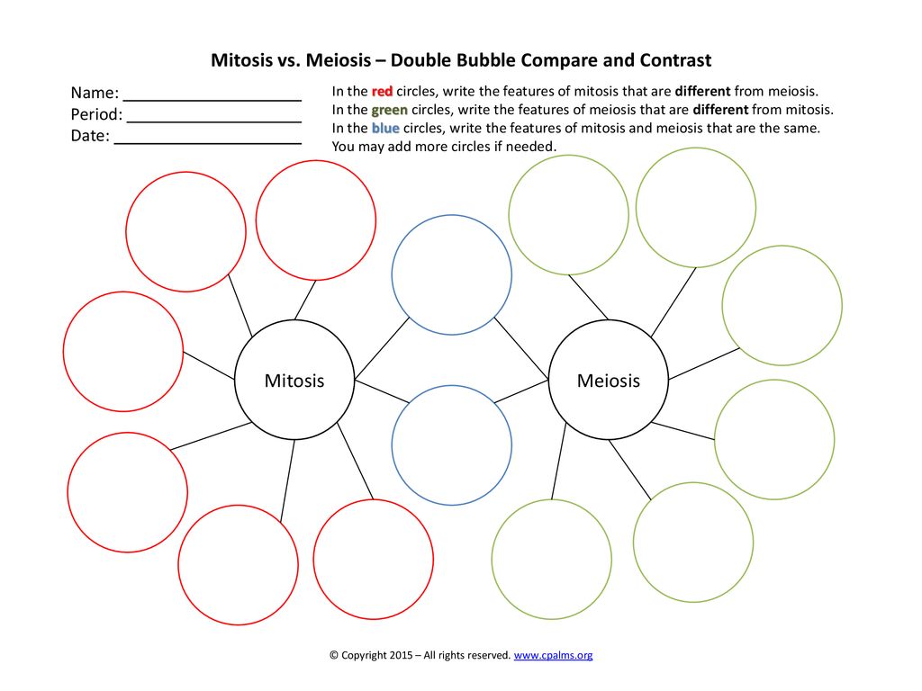 Mitosis vs. Meiosis – Double Bubble Compare and Contrast - ppt Throughout Mitosis Vs Meiosis Worksheet Answers