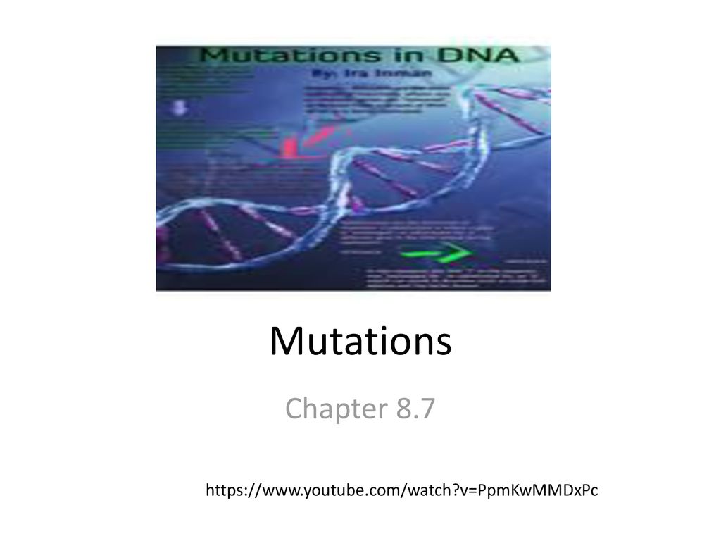 The W88C Mutation of Kibra Impairs Its Binding to Dendrin (A