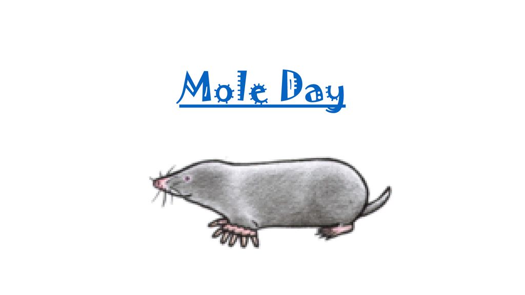 mole day drawings
