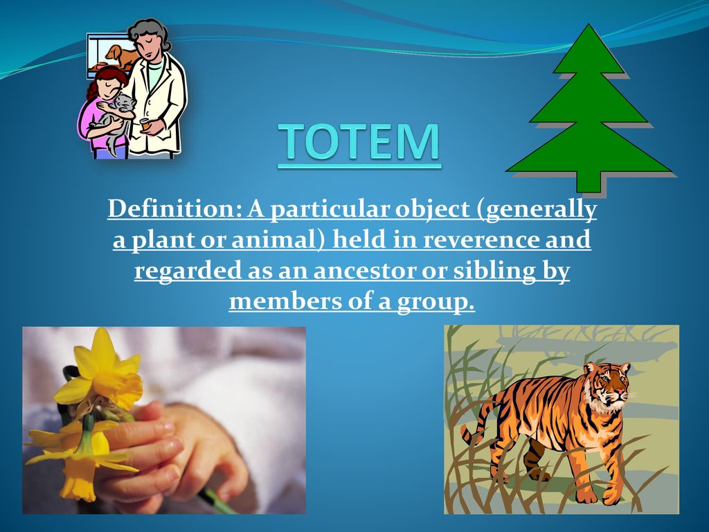 TOTEM Definition: A particular object (generally a plant or animal) held in  reverence and regarded as an ancestor or sibling by members of a group. -  ppt download