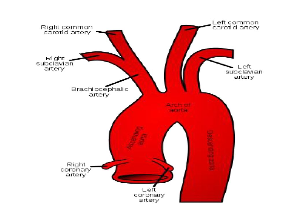 By Jenny R. Sheriff, EMT-P, I/C - ppt download