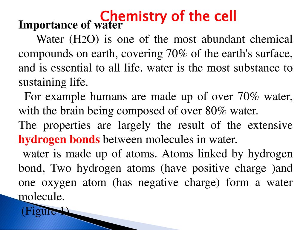 why is water important to a cell