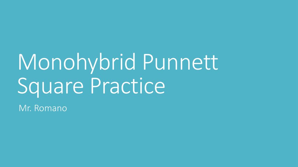 Monohybrid Punnett Square Practice Ppt Download