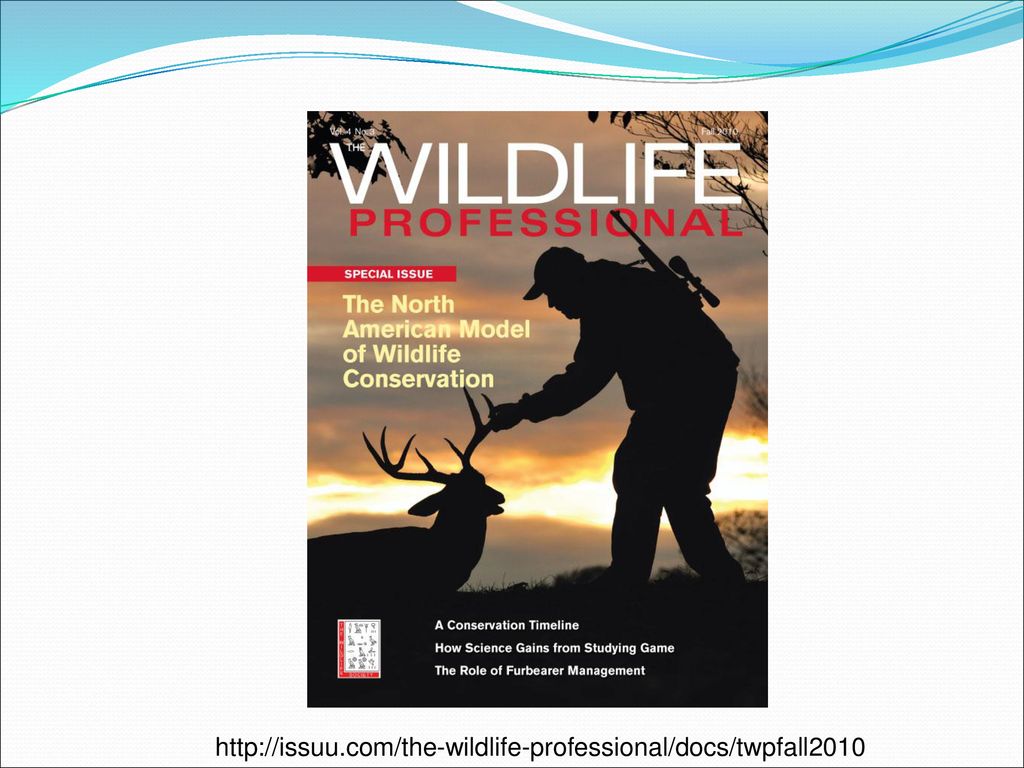 North American Model of Wildlife Conservation