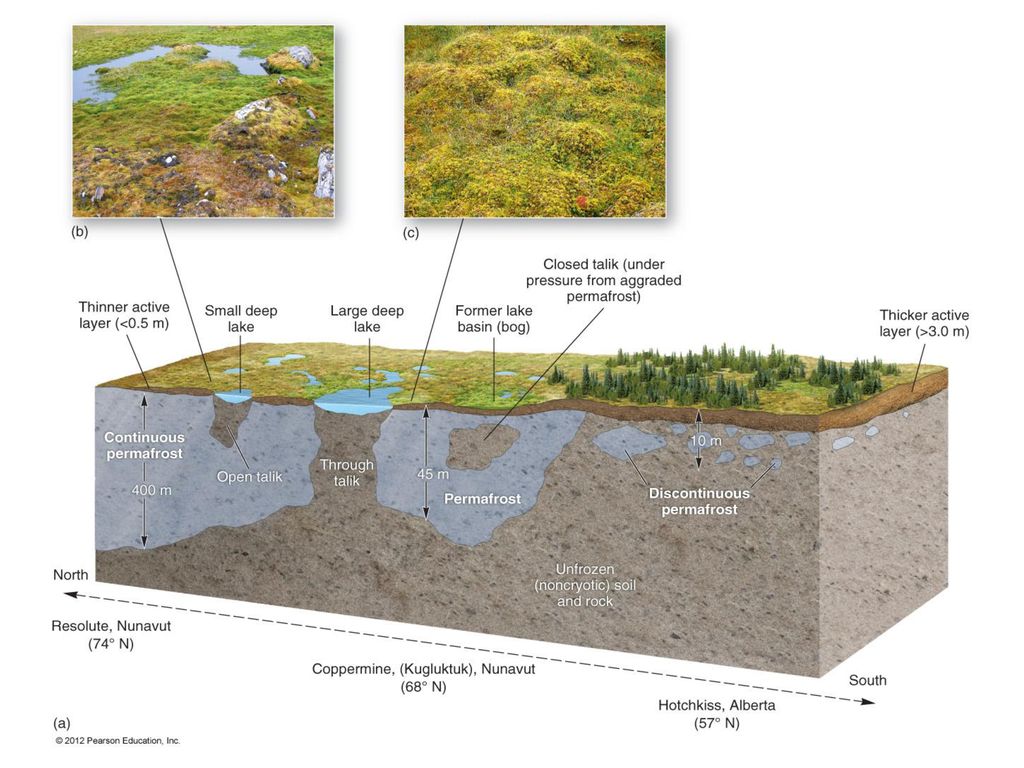 Glacial Deposition Glacial Drift – general term for glacial deposits ...