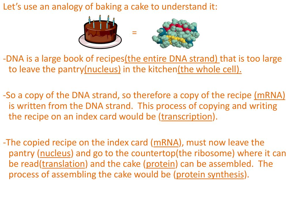 Let S Use An Analogy Of Baking A Cake To Understand It Dna Is A Large Book Of Recipes The Entire Dna Strand That Is Too Large To Leave The Pantry Nucleus Ppt