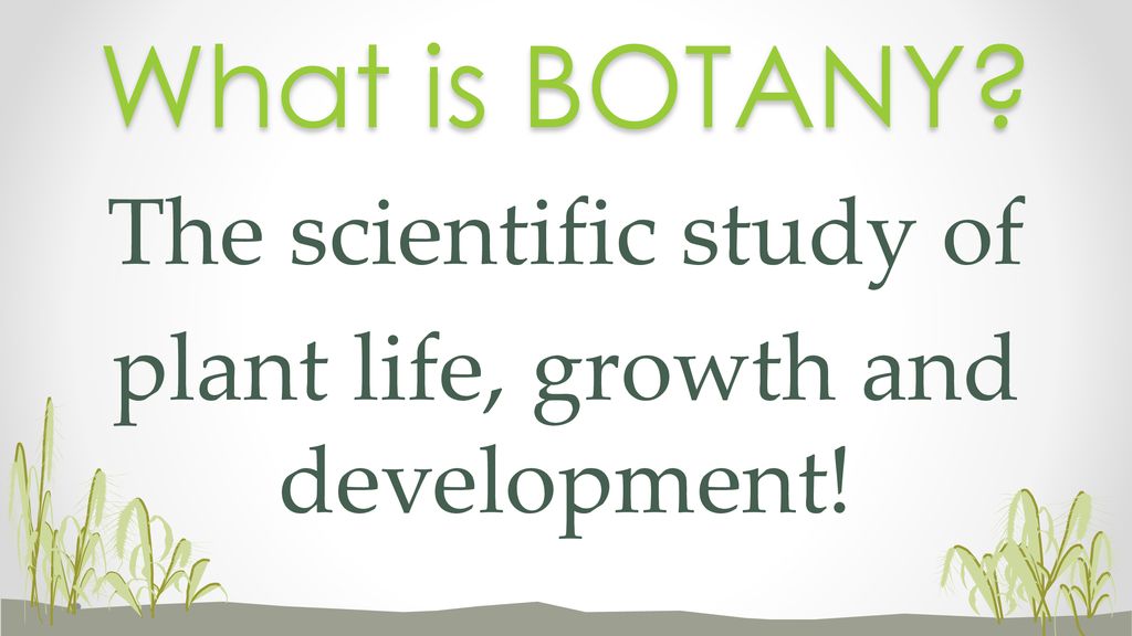 What Is Botany