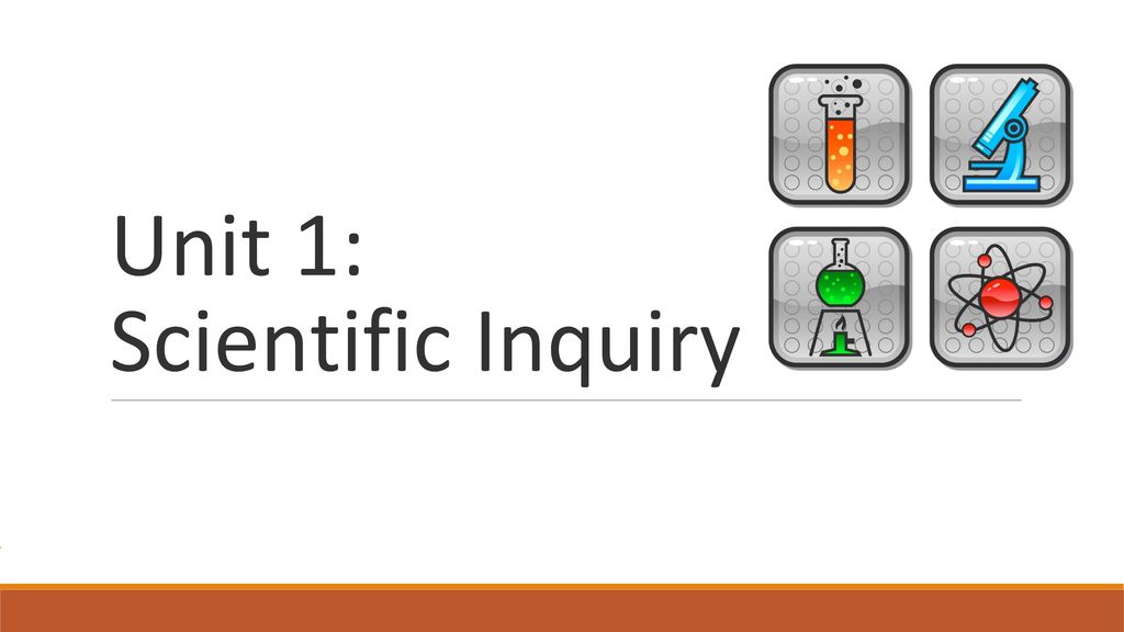 unit of inquiry clipart flower