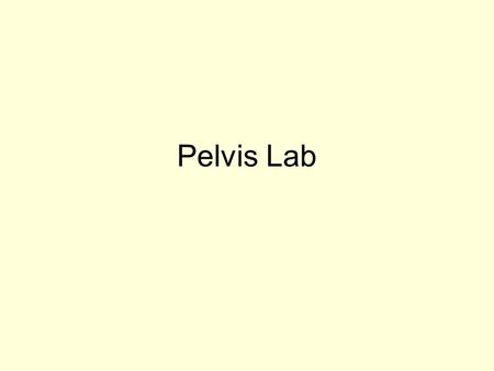 Pelvis Lab. Case 1 36 year old woman with pelvic pain.