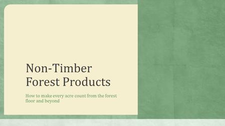 Non-Timber Forest Products How to make every acre count from the forest floor and beyond.