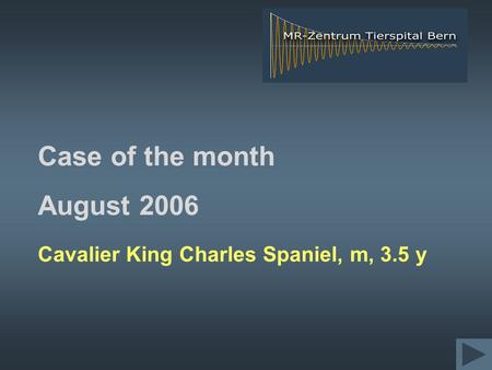Case of the month August 2006 Cavalier King Charles Spaniel, m, 3.5 y.