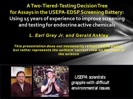 A Two-Tiered-Testing Decision Tree for Assays in the USEPA-EDSP Screening Battery: Using 15 years of experience to improve screening and testing for endocrine.