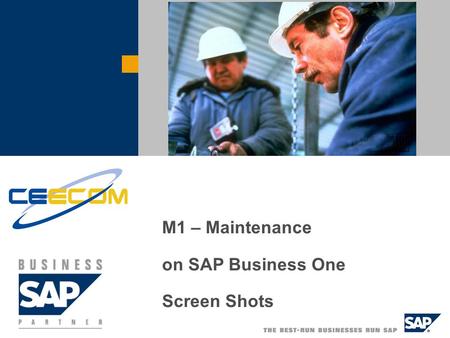M1 – Maintenance on SAP Business One Screen Shots.