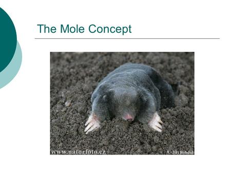 The Mole Concept. What is a mole? IIn chemistry, a mole is a counting unit. Abbreviated mol. 11 mol = 6.022x10 23 representative particles. Avogadro’s.
