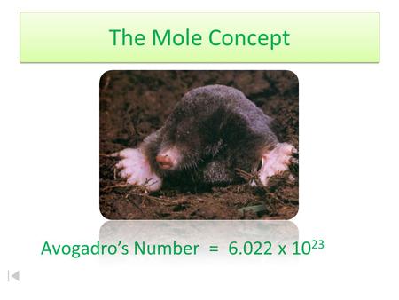 The Mole Concept Avogadro’s Number = 6.022 x 10 23.