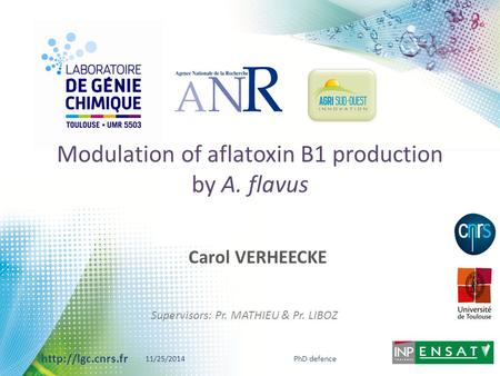 Modulation of aflatoxin B1 production by A. flavus