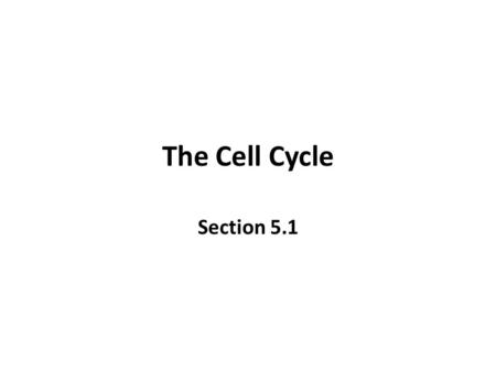 The Cell Cycle Section 5.1.