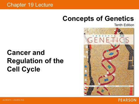 Chapter 19 Lecture Concepts of Genetics Tenth Edition Cancer and Regulation of the Cell Cycle.