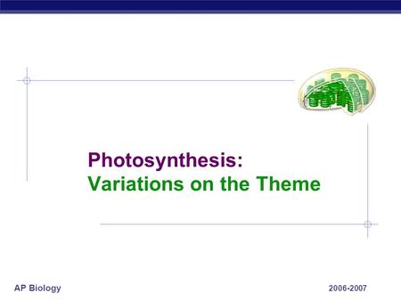 AP Biology 2006-2007 Photosynthesis: Variations on the Theme.