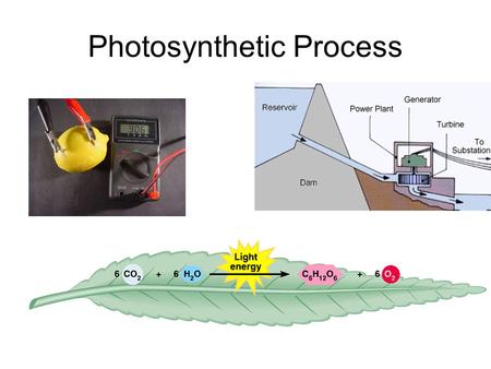 Photosynthetic Process. THE SUN: MAIN SOURCE OF ENERGY FOR LIFE ON EARTH FREE ENERGY (available for work) vs. HEAT (not available for work)