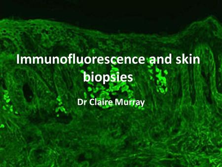 Immunofluorescence and skin biopsies