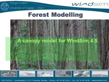 Giorgio Crasto University of Cagliari - ITALY Forest Modelling A canopy model for WindSim 4.5.